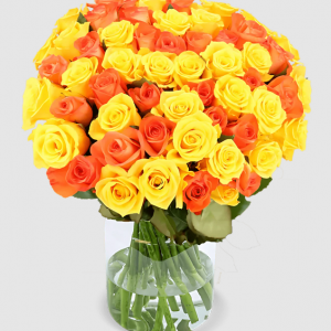 20 gelb orange Rosen