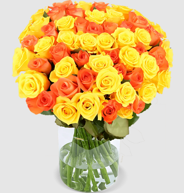 20 gelb orange Rosen