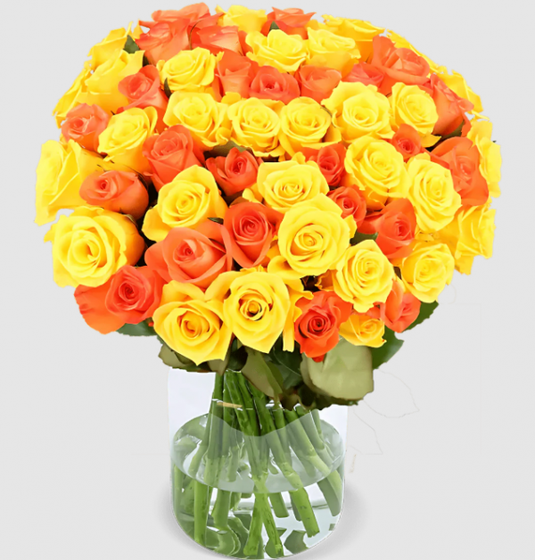 10 gelb orange Rosen