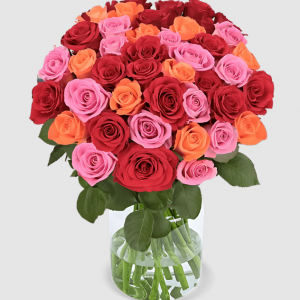 10 Rosen - “Rosenbeet”