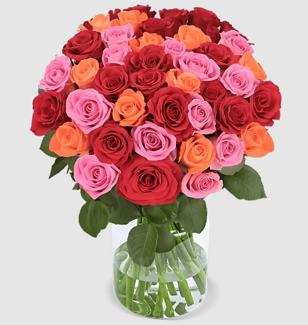 10 Rosen - “Rosenbeet”