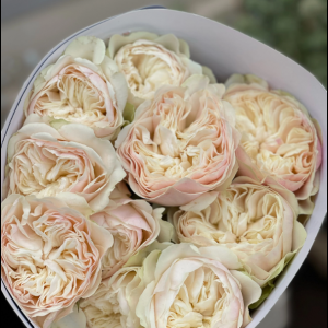 WEDDING  Rosen 5 bis 10 Stück