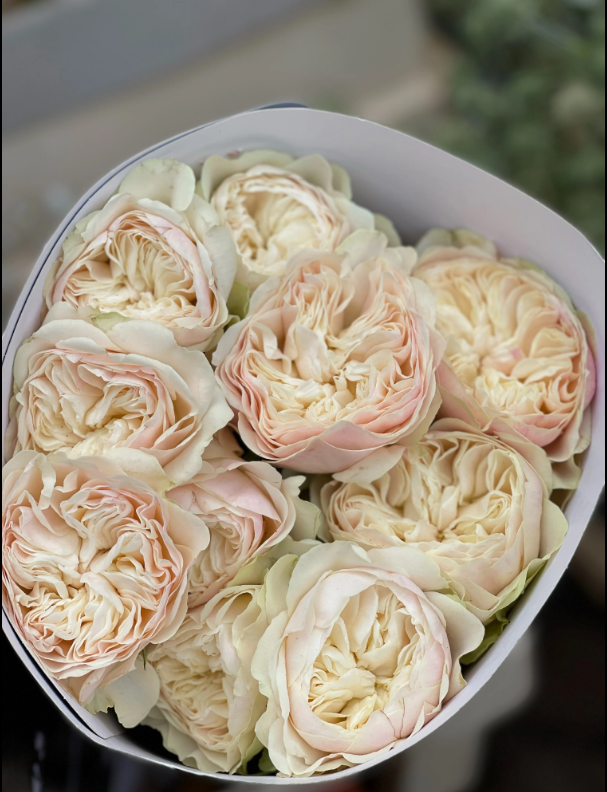 WEDDING Rosen 5 bis 10 Stück