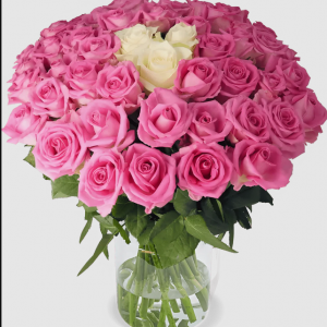 10 Rosen - “Pink Special”