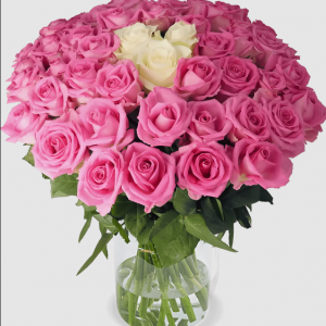 30 Rosen - “Pink Special”