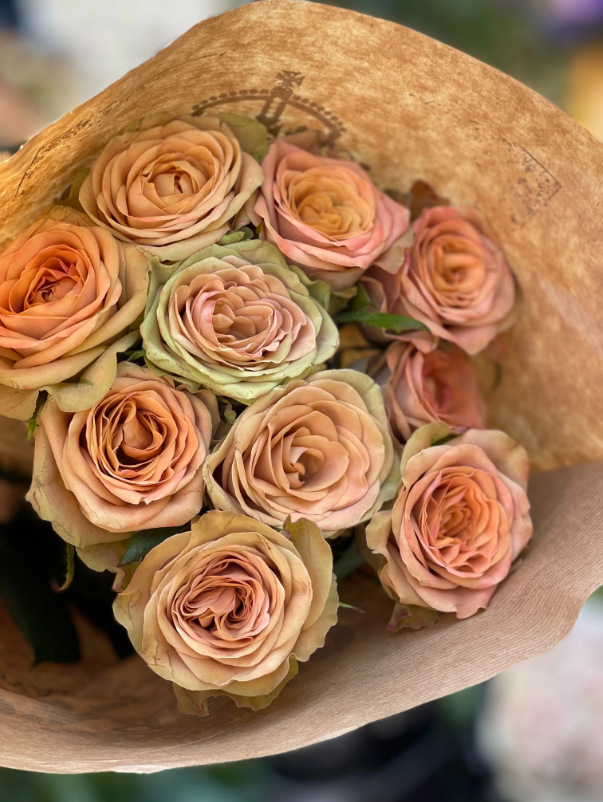 Rose Café 5 bis 10 Stück