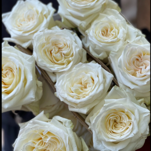 Rose Candelight 5 bis 10 Stück