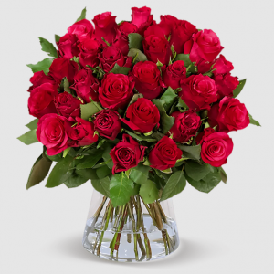 30 rote Rosen