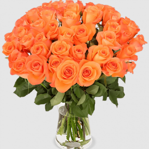 30 orange Rosen