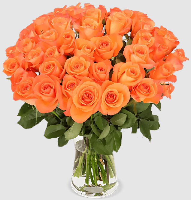 30 orange Rosen