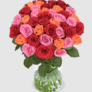 20 Rosen - “Rosenbeet”