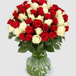 40 Rot Weißer Traum