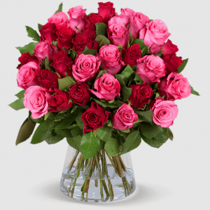 10 Rosen - "Romantic