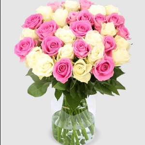 20 Rosen - "Candy Candy"