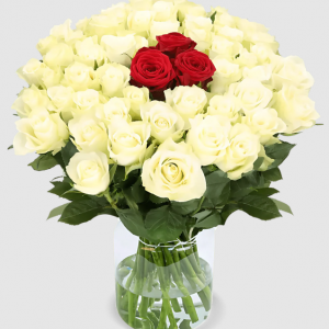 10 Rosen - “Nordlicht