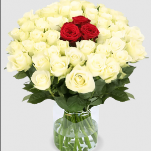 40 Rosen - “Nordtraum”